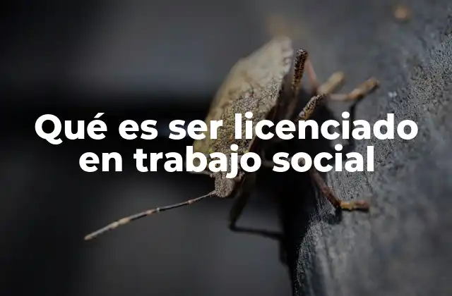 Qué es Ser Licenciado en Trabajo Social