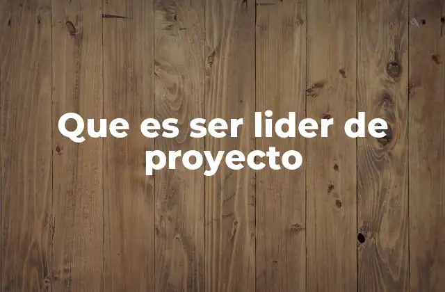Que es Ser Lider de Proyecto