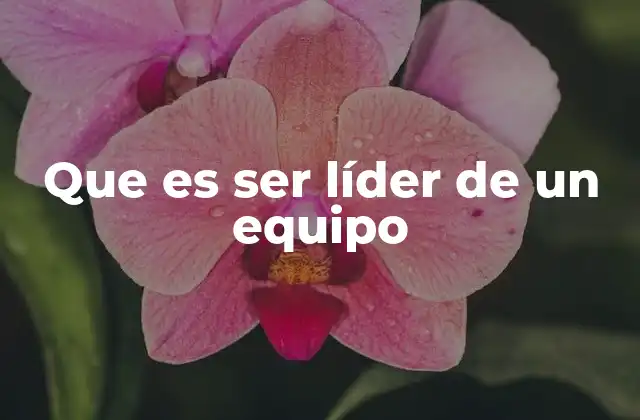 Que es Ser Líder de un Equipo