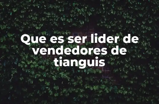 Que es Ser Lider de Vendedores de Tianguis