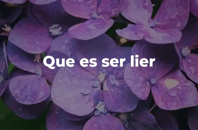 Que es Ser Lier