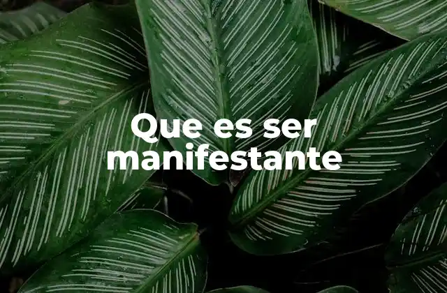 Que es Ser Manifestante