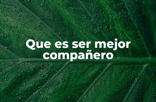 Que es Ser Mejor Compañero 2 La importancia de la empatía en la relación entre compañeros