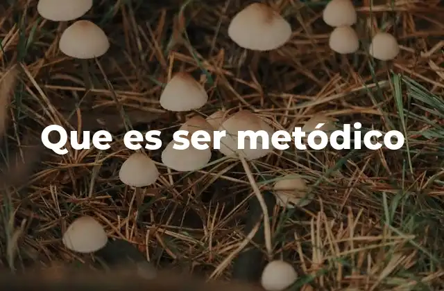 Que es Ser Metódico