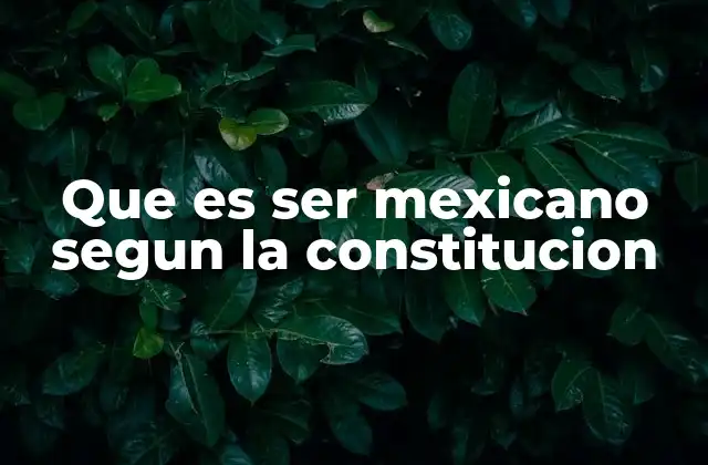 Que es Ser Mexicano Segun la Constitucion