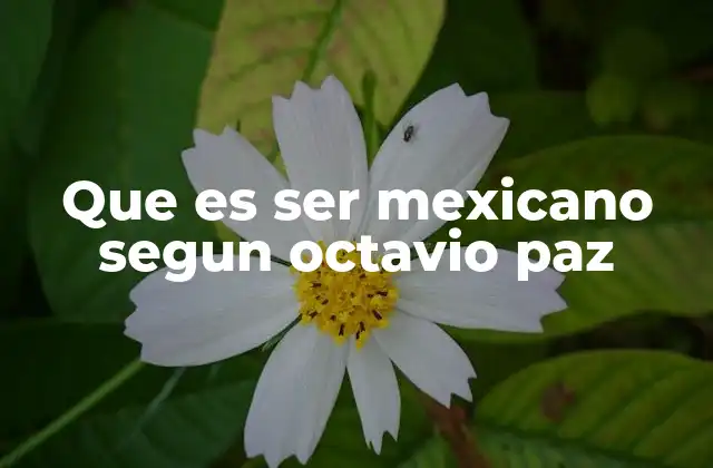 Que es Ser Mexicano Segun Octavio Paz