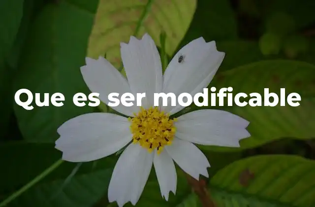 Que es Ser Modificable 2 La flexibilidad como base de la modifiabilidad