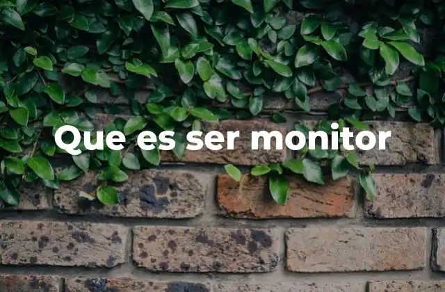 Que es Ser Monitor