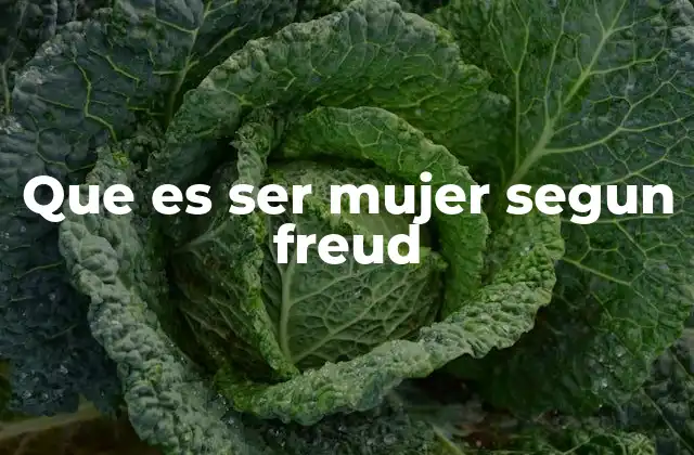 Que es Ser Mujer Segun Freud