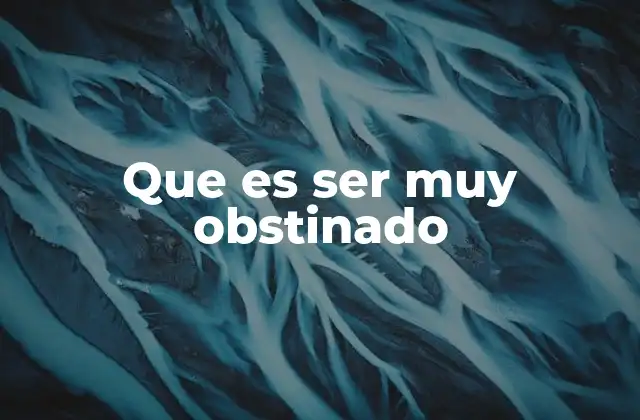 Que es Ser Muy Obstinado