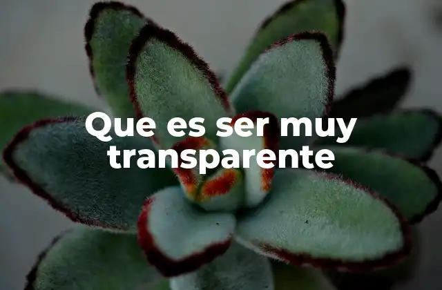Que es Ser Muy Transparente 2 La importancia de la claridad en las relaciones humanas