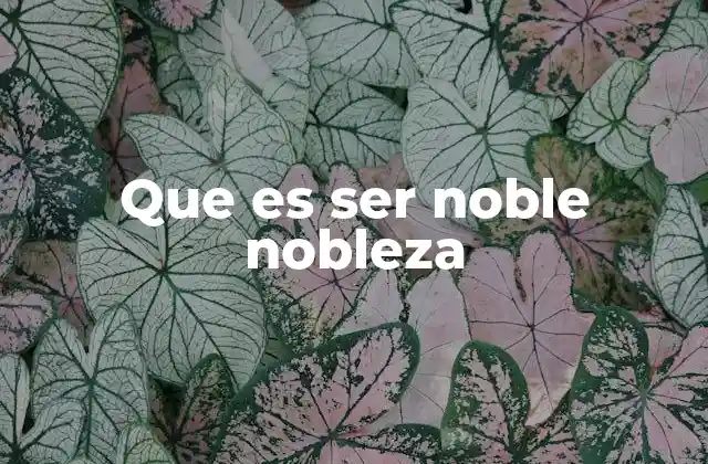 Que es Ser Noble Nobleza