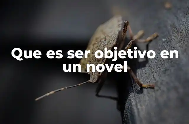 Que es Ser Objetivo en un Novel