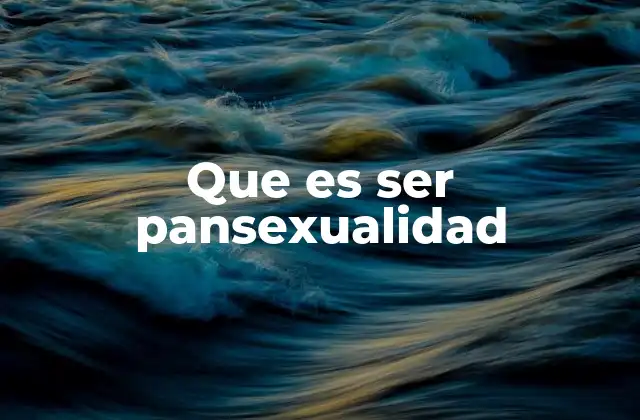 Que es Ser Pansexualidad