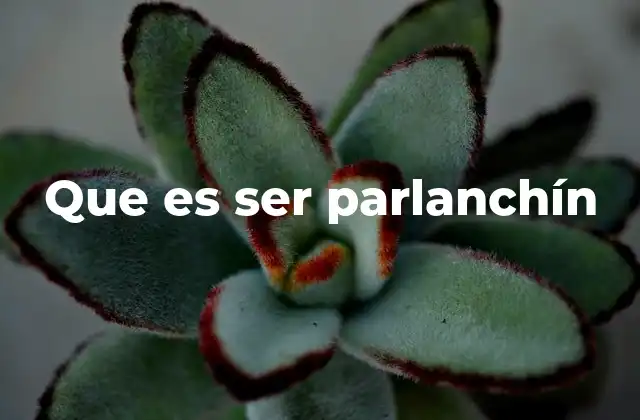 Que es Ser Parlanchín