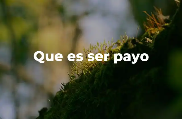Que es Ser Payo