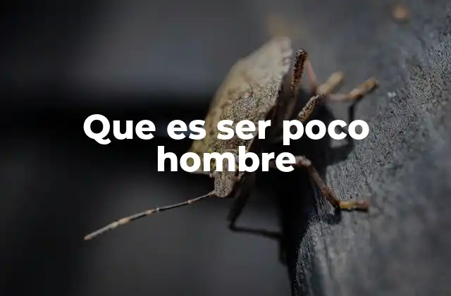 Que es Ser Poco Hombre