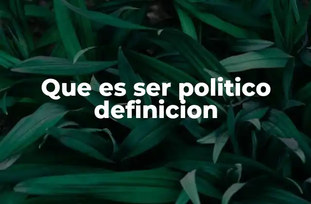 Que es Ser Politico Definicion