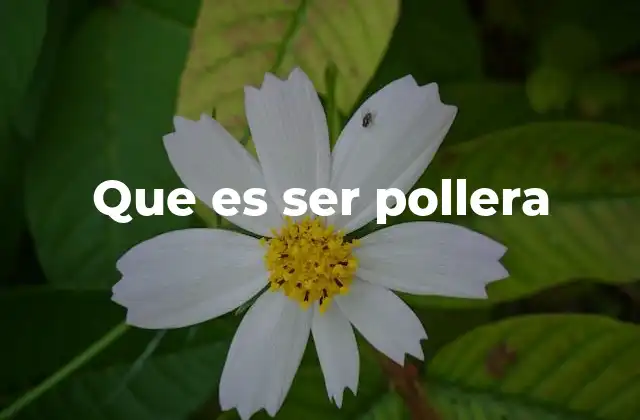 Que es Ser Pollera