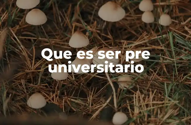 Que es Ser Pre Universitario