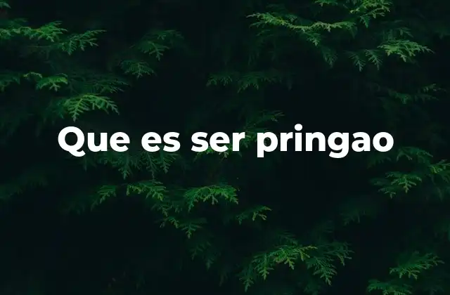 Que es Ser Pringao