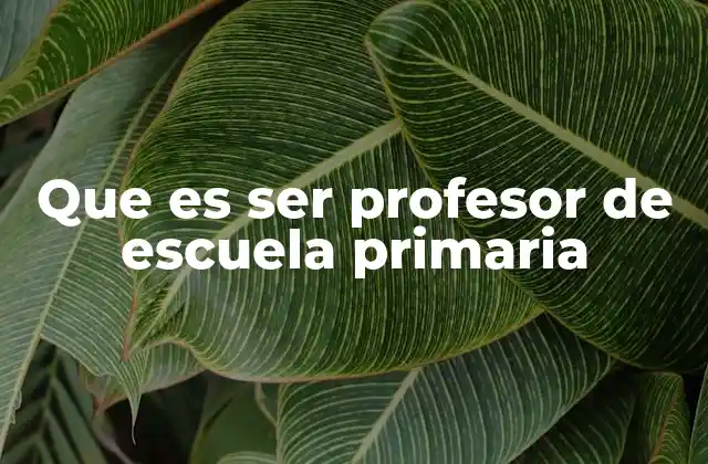 Que es Ser Profesor de Escuela Primaria