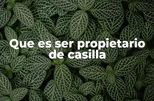 Que es Ser Propietario de Casilla