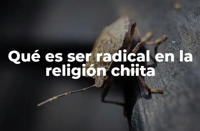 Qué es Ser Radical en la Religión Chiita