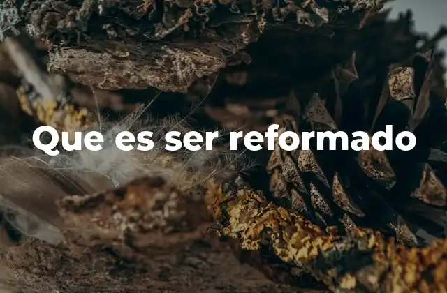 Que es Ser Reformado