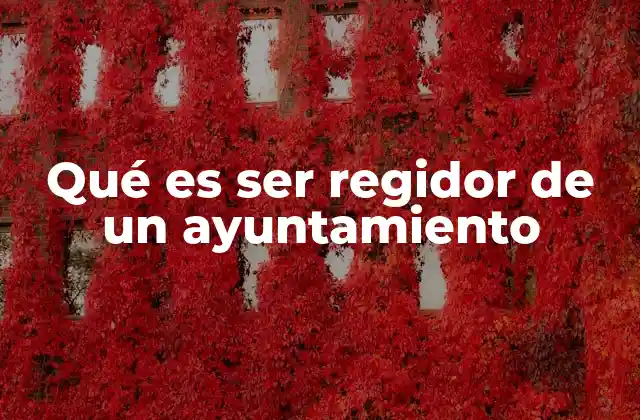 Qué es Ser Regidor de un Ayuntamiento