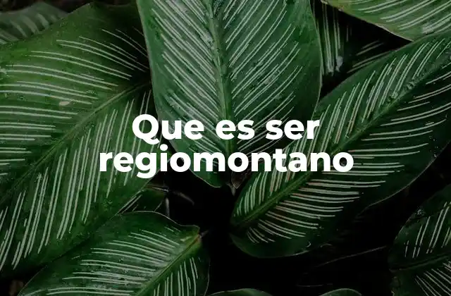 Que es Ser Regiomontano