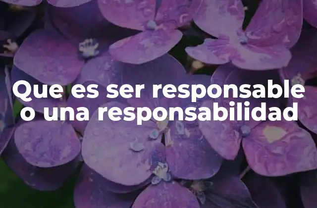 La importancia de la responsabilidad en la vida cotidiana