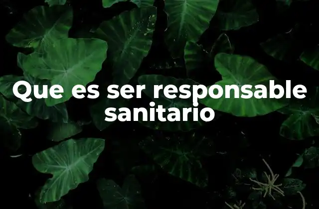 Que es Ser Responsable Sanitario