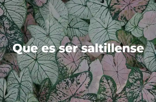 Que es Ser Saltillense