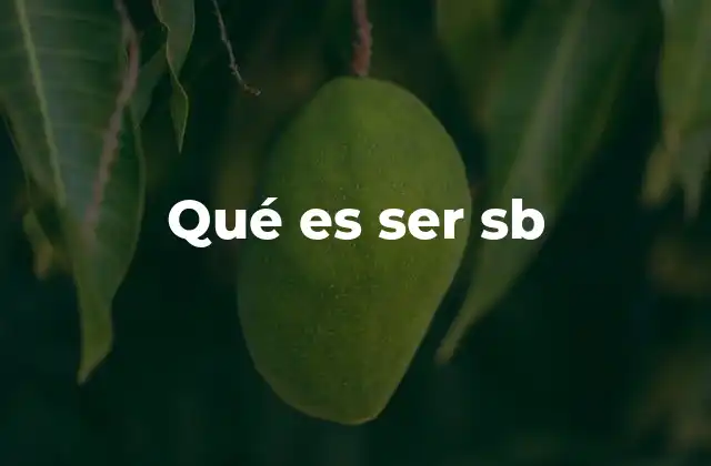 El uso de ser sb en el lenguaje digital contemporáneo