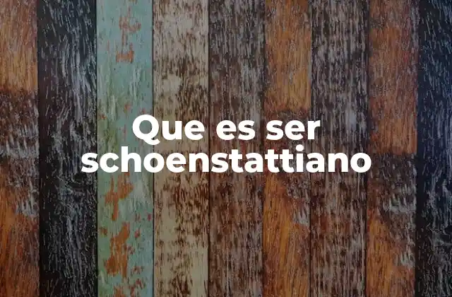 Que es Ser Schoenstattiano