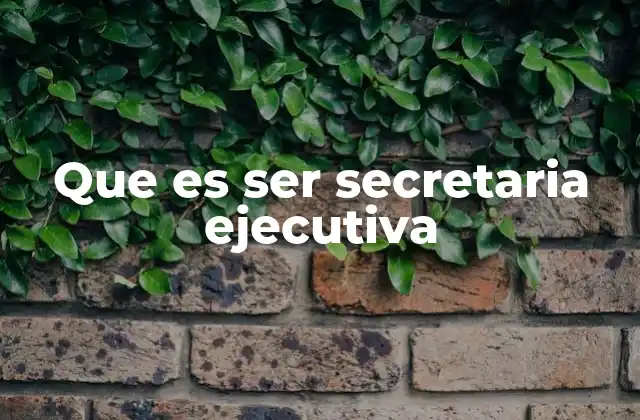 Que es Ser Secretaria Ejecutiva