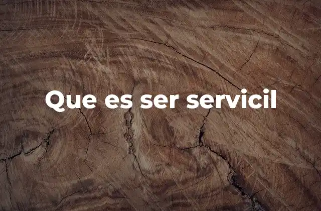 Que es Ser Servicil