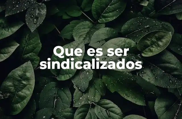 Que es Ser Sindicalizados