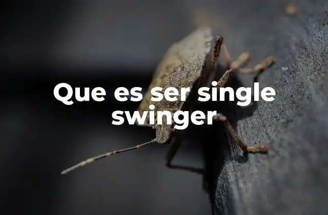 Que es Ser Single Swinger