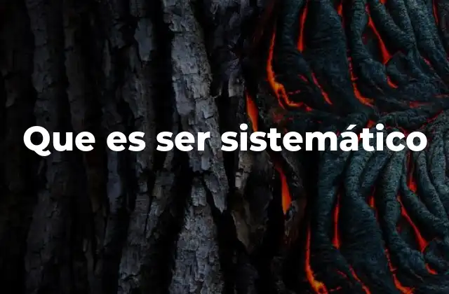 Que es Ser Sistemático