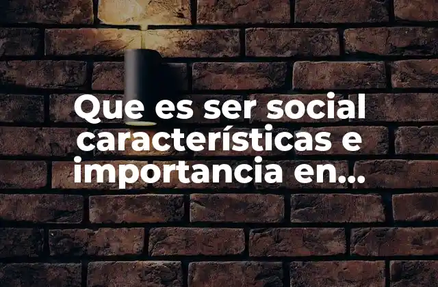 Que es Ser Social Características e Importancia en Ciencias Sociales