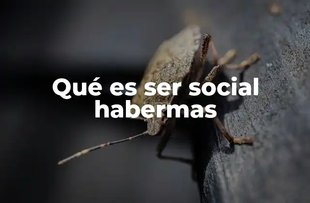 Qué es Ser Social Habermas