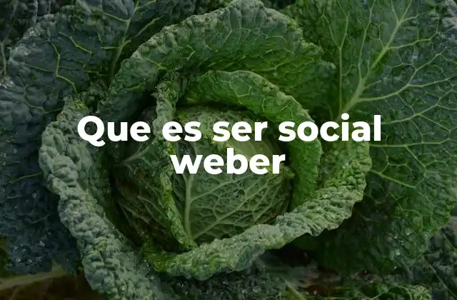 Que es Ser Social Weber