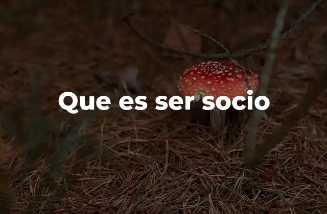 Que es Ser Socio 2 El rol del socio en diferentes tipos de empresas