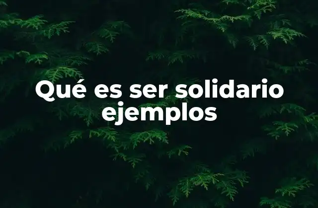 Qué es Ser Solidario Ejemplos 2 La importancia de la solidaridad en la sociedad