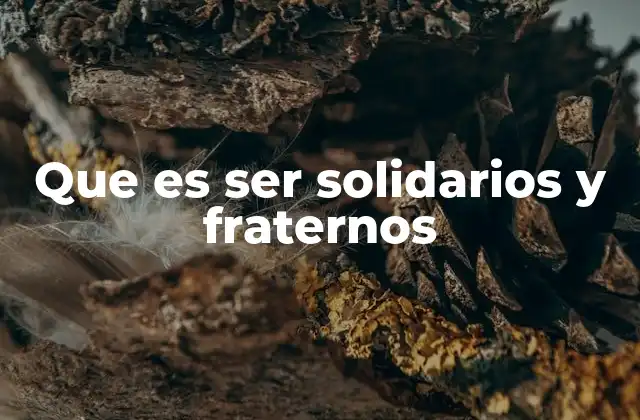 Que es Ser Solidarios y Fraternos