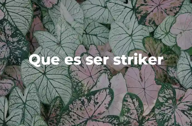 Que es Ser Striker