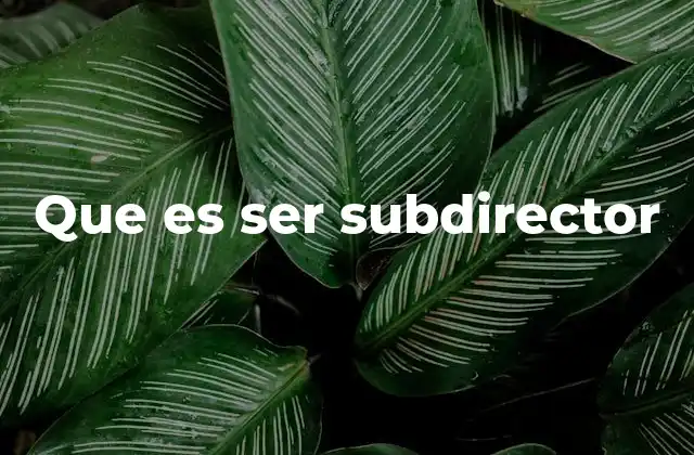 Que es Ser Subdirector 2 El papel del subdirector en la toma de decisiones