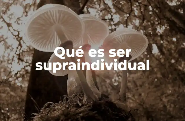 Qué es Ser Supraindividual